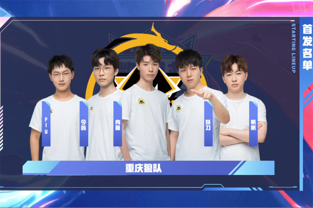 向经